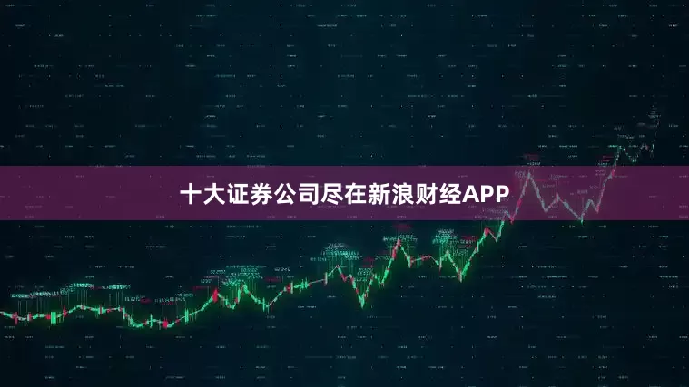 十大证券公司尽在新浪财经APP